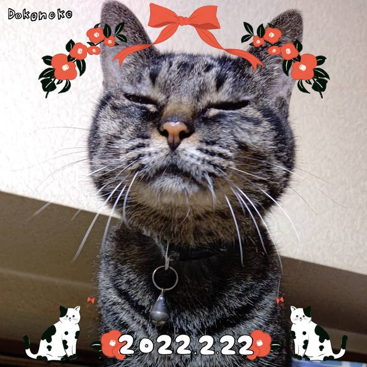 C68fdca8 14dc 42cb bef7 3ce63c03df78 1645539189799