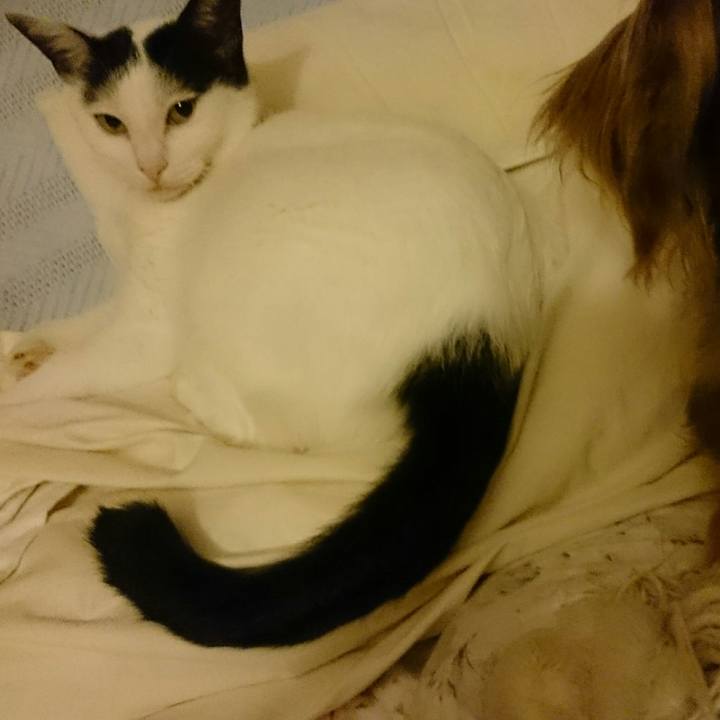 C6900a63 e77a 42e0 91b0 02e25546f544 1507640473865