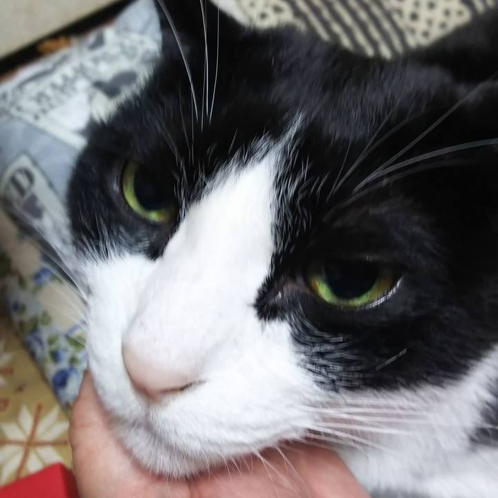 C6901c65 e623 4b28 bb63 676272e10f8e 1577397184808