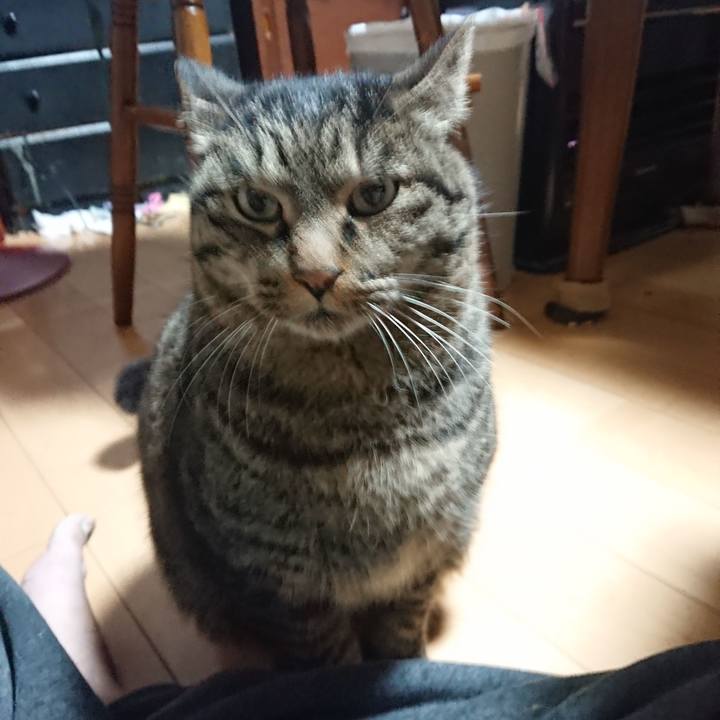 C6901cd3 01c0 4027 9f41 65b0d2ba17e9 1639773478048