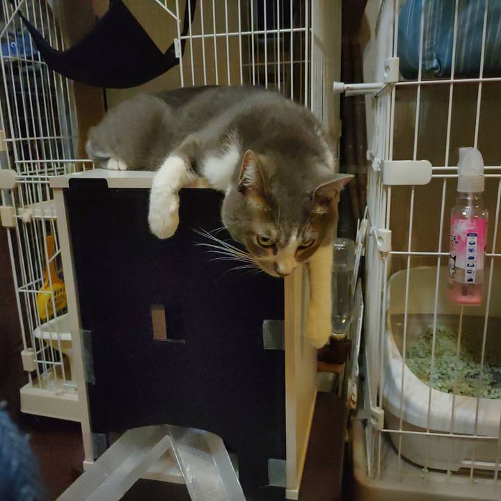 C69037a1 49b5 426c 93f9 a3df2fb837aa 1659190466133