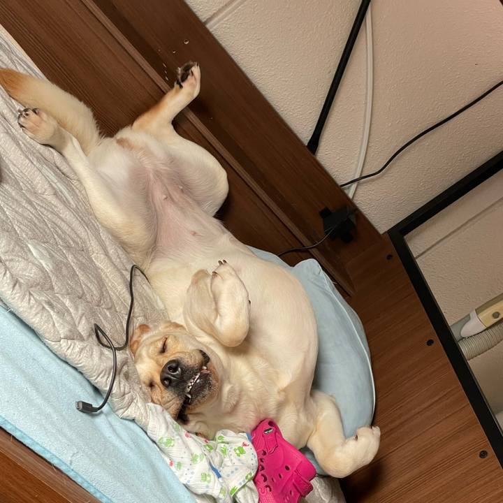 C6904a70 f90c 4709 9346 f6544fd708c1 1657679266420