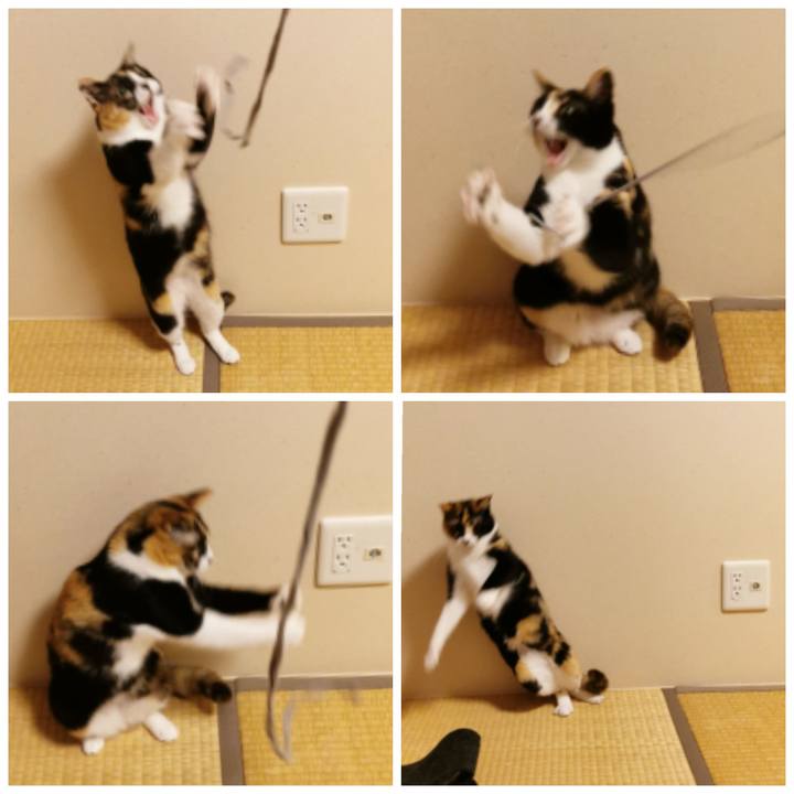 C690591f 617d 426a b970 2dec370ecbe5 1622086425776