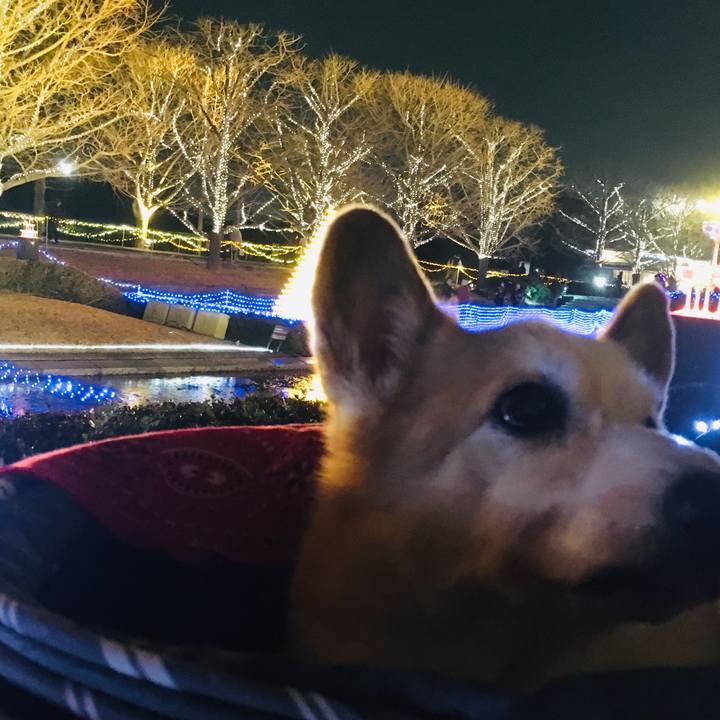 C6909b19 f4c7 4a5c 9333 c0e6a1486907 1572274676446