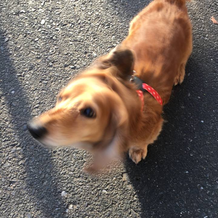 C690a7dd 5eac 4cb7 8c4d 2d7783b146b0 1613134885989