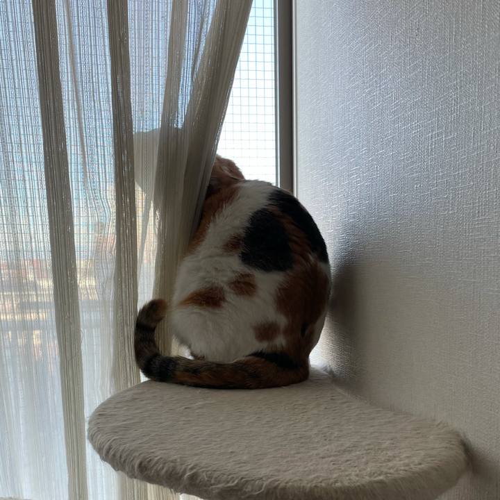 C690d29b a7ce 4b4e a5c8 5bed99d7f08c 1611101453075