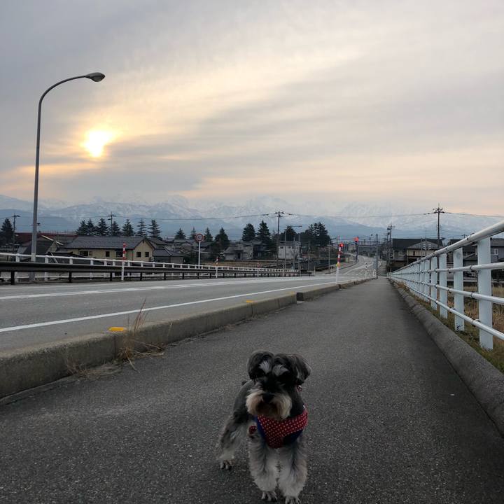 C690d3cc 50a9 4049 9520 4dfabbd177fe 1551571458282