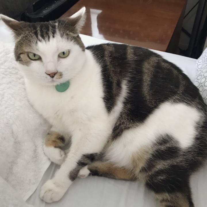 C691877c cd37 4134 af7b 695d2d64a180 1554946676647