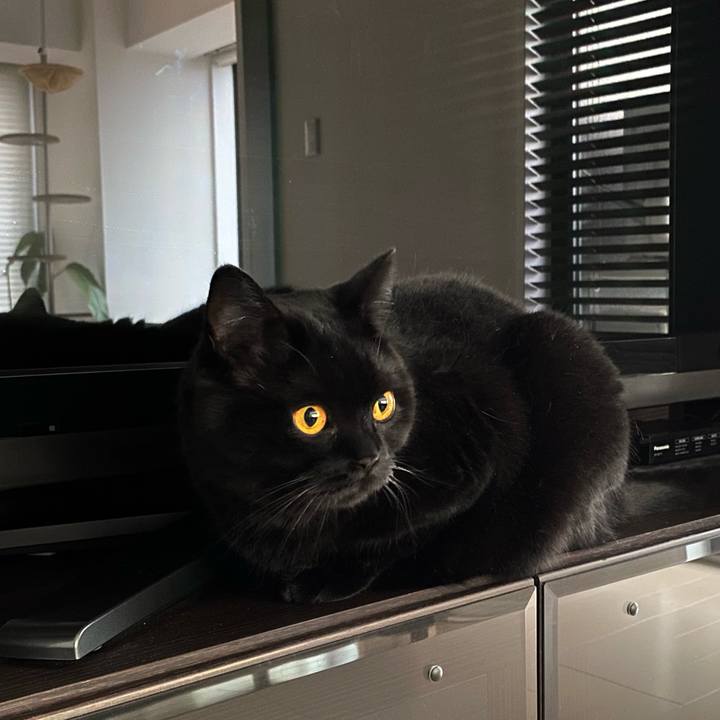 C6918ff7 f684 434a b8ec 038ffda63464 1630658814784