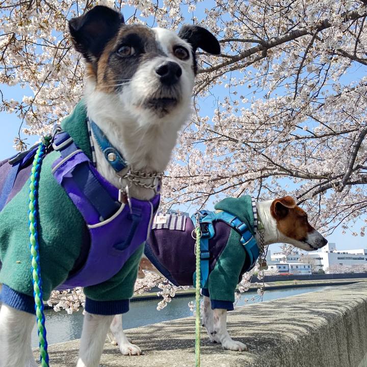 C6919692 93bb 4509 b3af eff63807c2ac 1616725740943