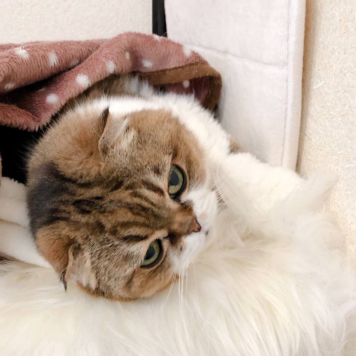 C691b67a db48 4082 a16b 83e06668cbf6 1608534487661