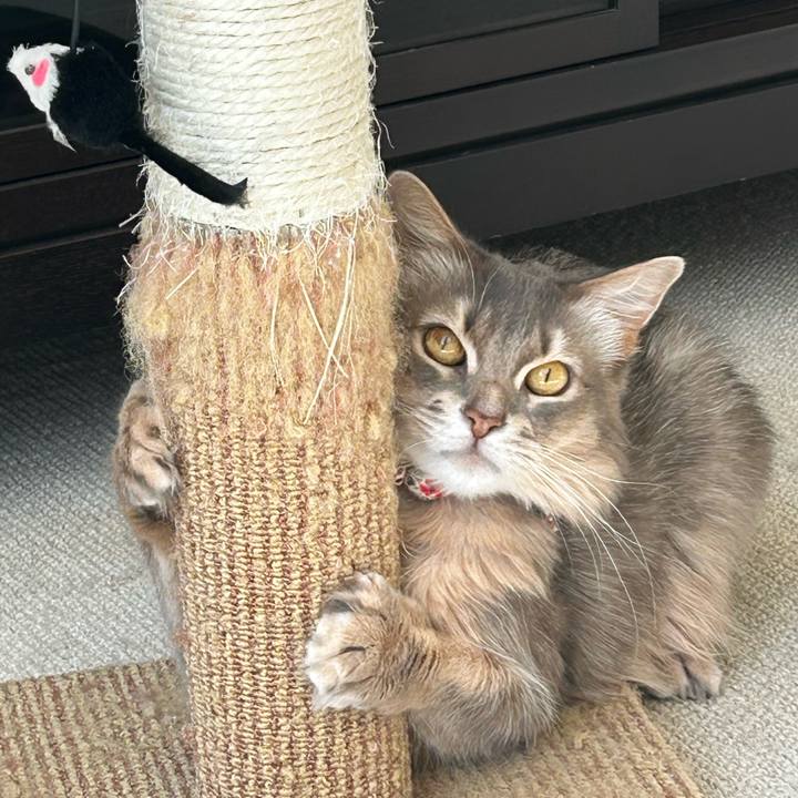 C691c525 9dec 45fd b425 8b20be497cbd 1769917666103