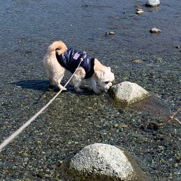 C691e1b3 72e8 4f00 b53b 647ac44e3b6c 1582889261397