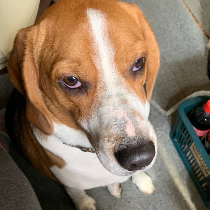 C691f0bc e8ed 4c35 a5ec a02a83cc64dd 1555728114932