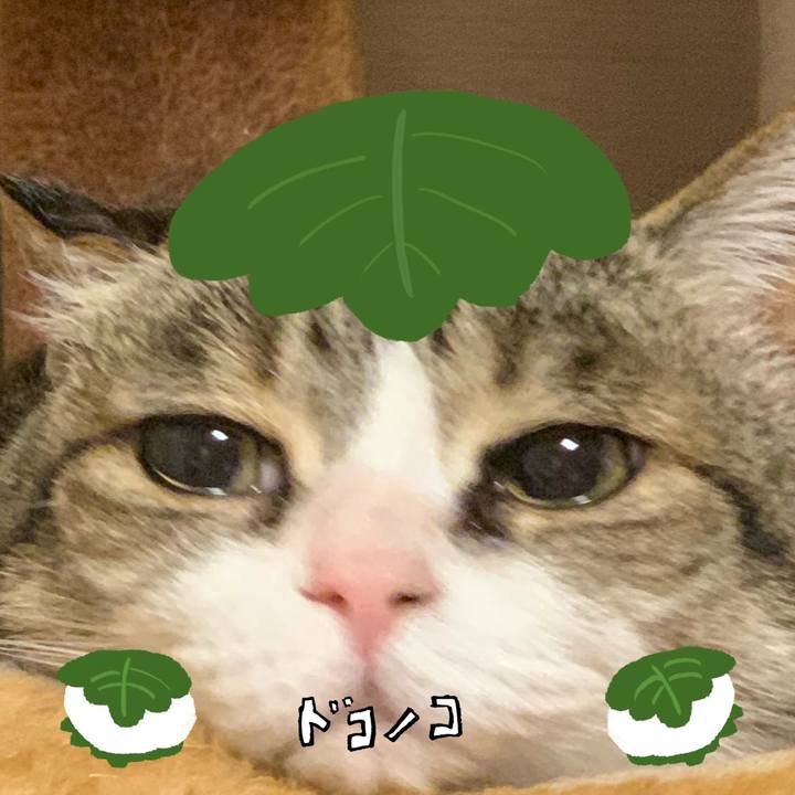 C69202aa 9efc 4c23 8159 4ae24a0a8aa4 1749429977742