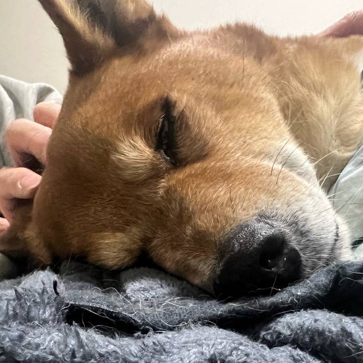 C6920679 6edb 43fc a9c2 cc57bc2c1090 1739111421141