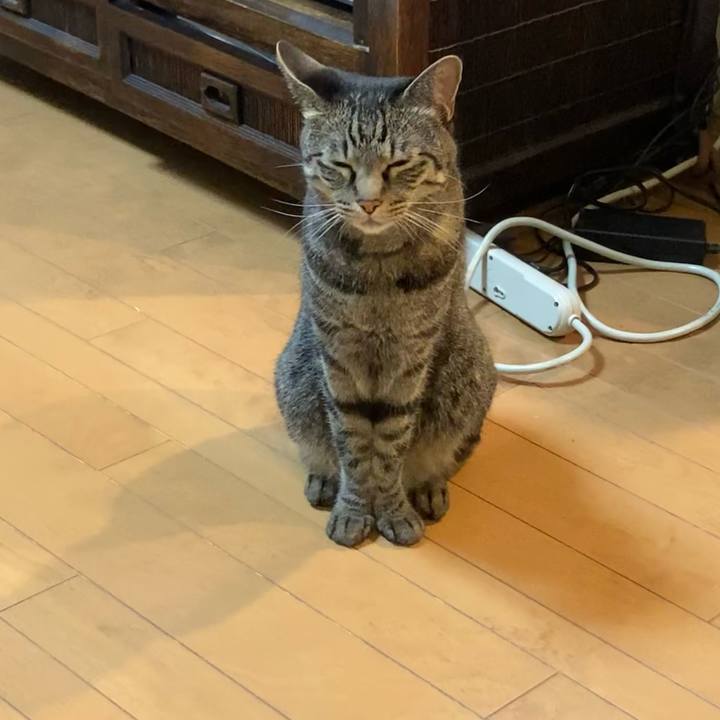 C6920c04 4dd5 45cd 8dab 2fc30a513197 1658207466364