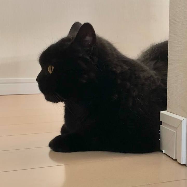 C69242eb d430 4ca7 84b7 2cca16f228fc 1750582003039