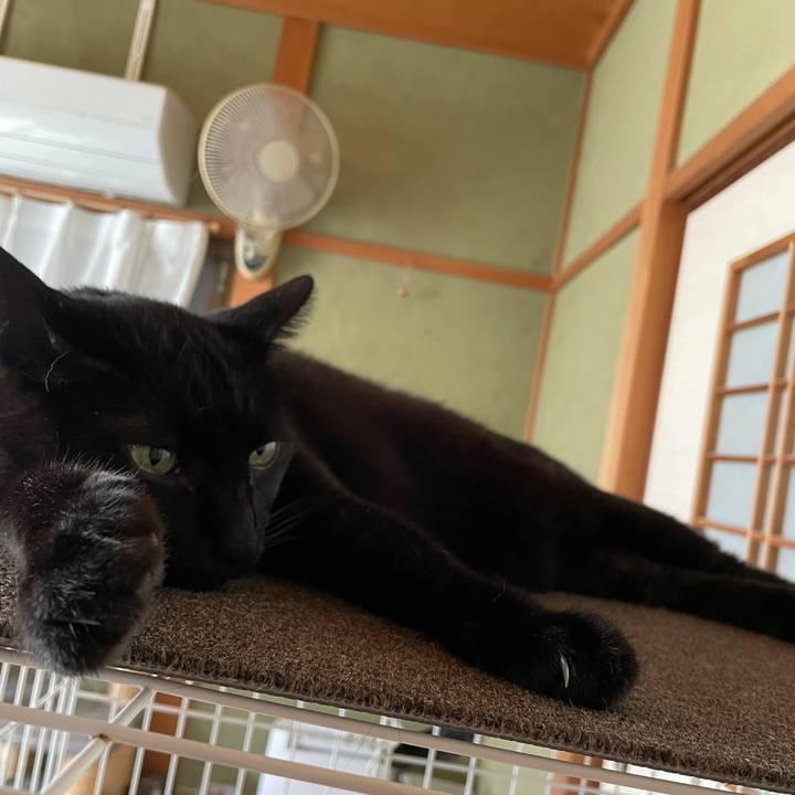 C69256c1 becb 403f 882f acb72f59627d 1632621410975