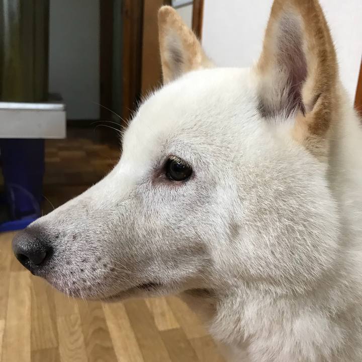 C6939599 9554 490c a3cf fefea64a5458 1534294882631