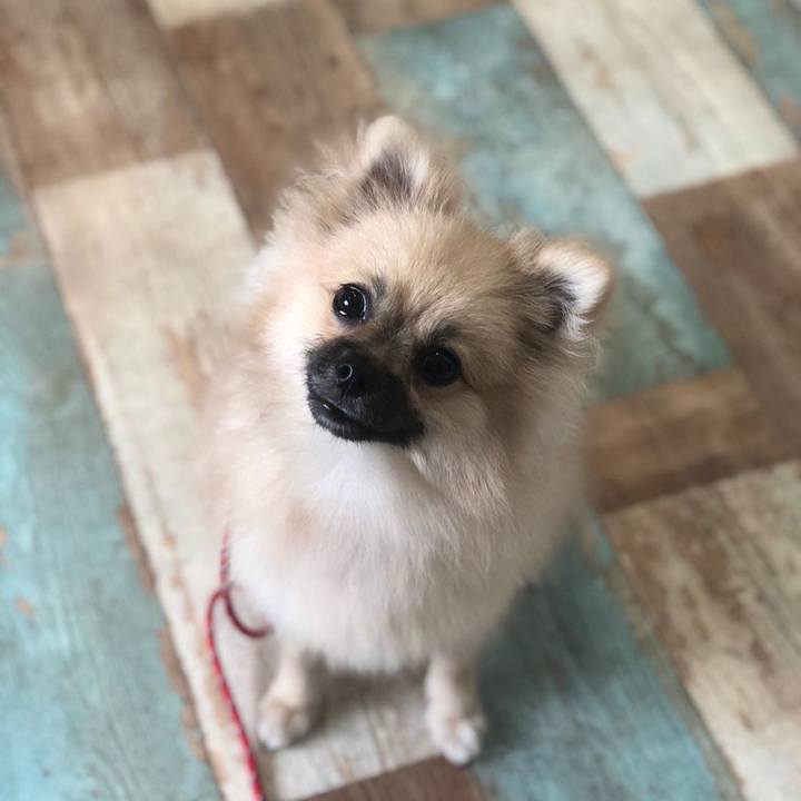 C693f252 4572 44d1 8969 25f9b1479a76 1621689784727