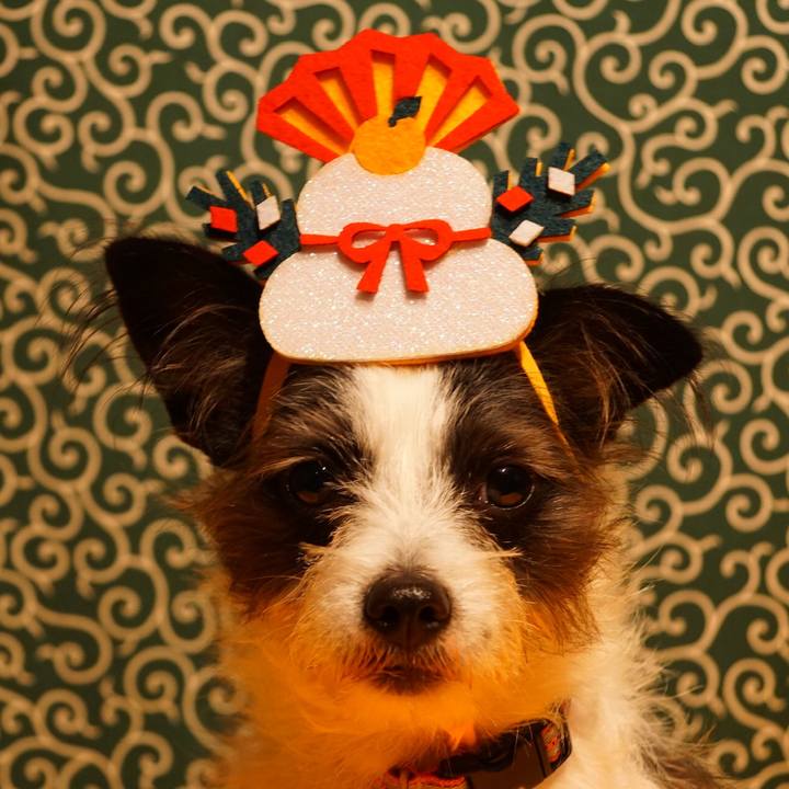 C6940c36 2691 47ad 96d2 239b037e8e37 1546269968898