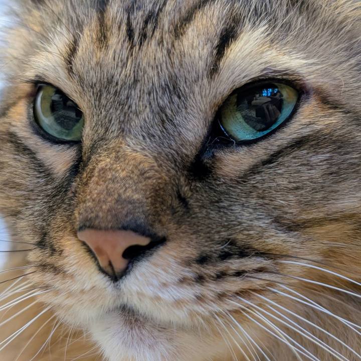 C69437a1 4563 4a75 ac49 6c989367250c 1763765762417