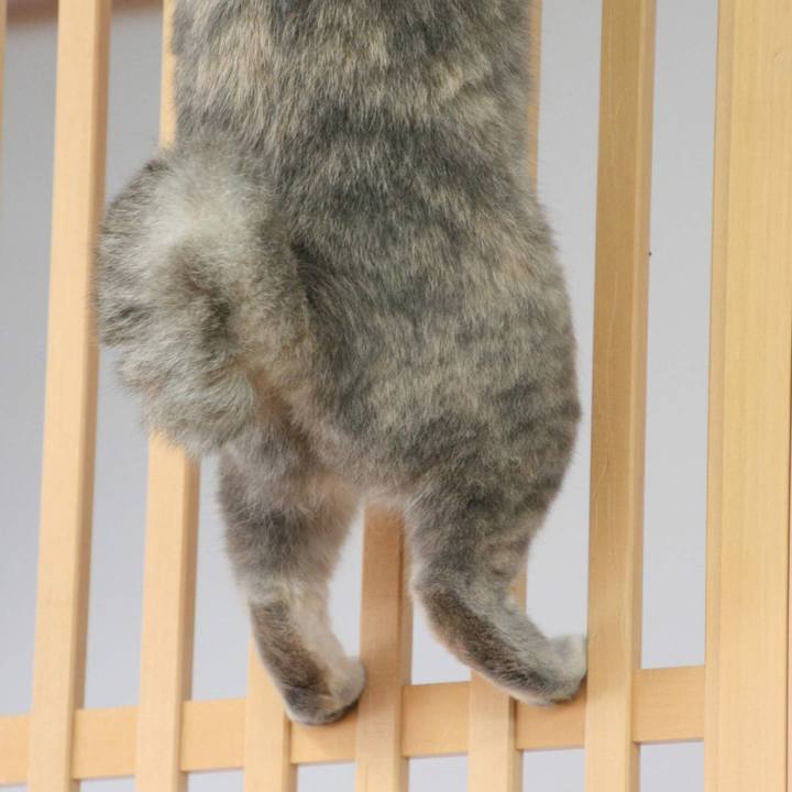 C694575b b0f6 43a8 8fb6 8c46a07b15fb 1560236614951