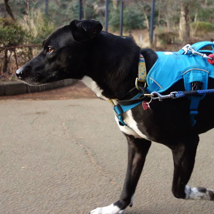 C6946141 8f80 4a41 b34b e3ca7f64d177 1612568219428