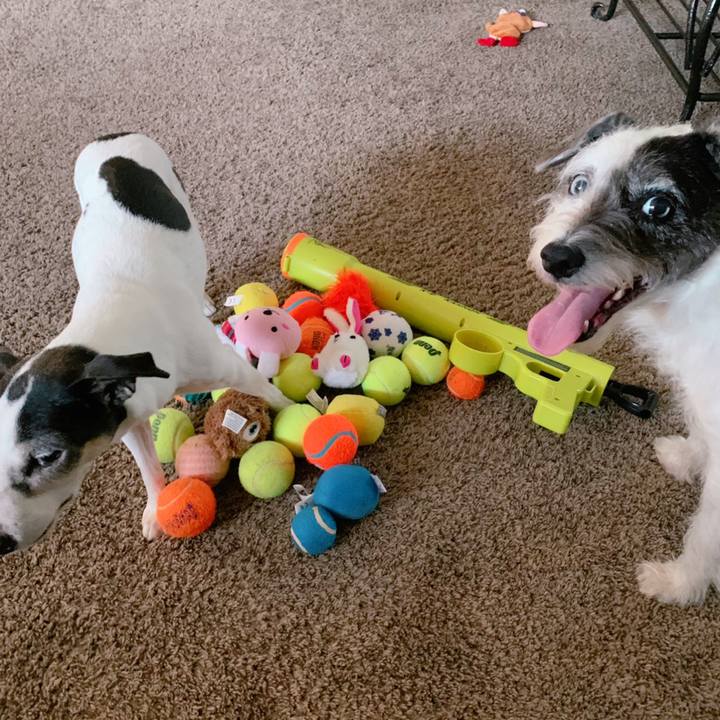 C694b27a 2cd8 4555 b433 84c3a316a351 1642209871720