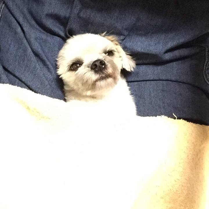 C694d055 6b6d 4e79 8409 73d282b64ce0 1539688449421