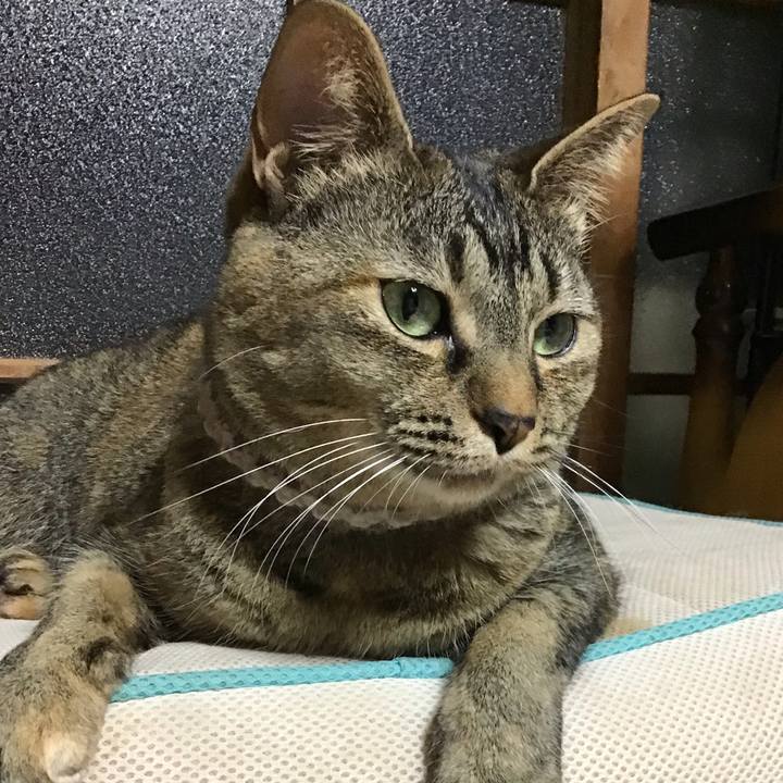 C6950827 b63a 4d9f 83ee 2db062aa30b5 1652529199217