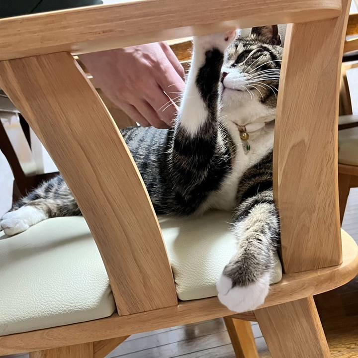 C695296c d6f4 495e b627 8a129efa2682 1776381338581