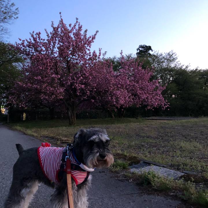 C69530e2 7796 476f a474 31c00baa407f 1619016620758