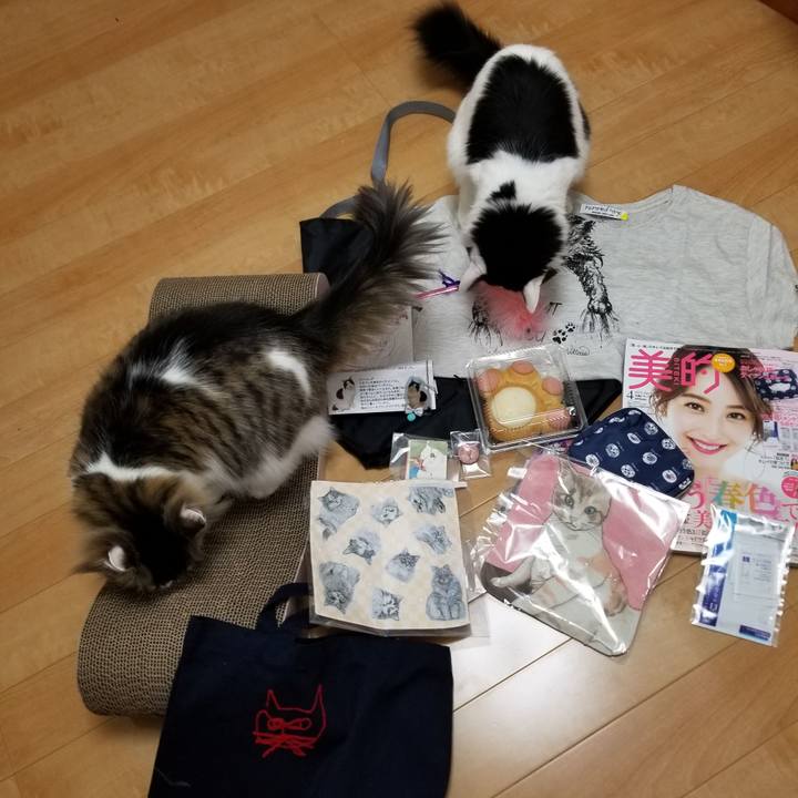 C6954f62 f387 442e 9a23 39fb1bf8d8f9 1550999406058