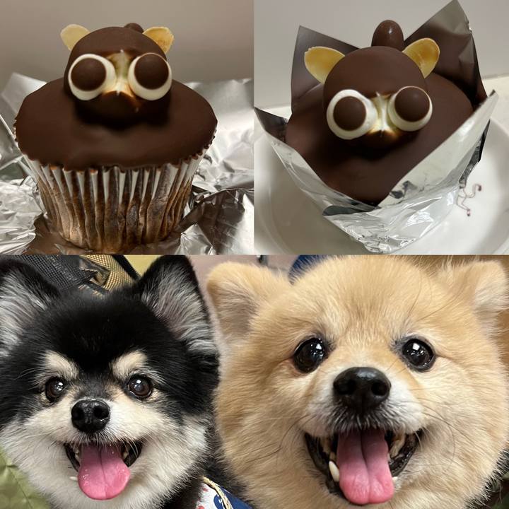 C695cea5 9ceb 4943 b142 eecac113019b 1670436638580