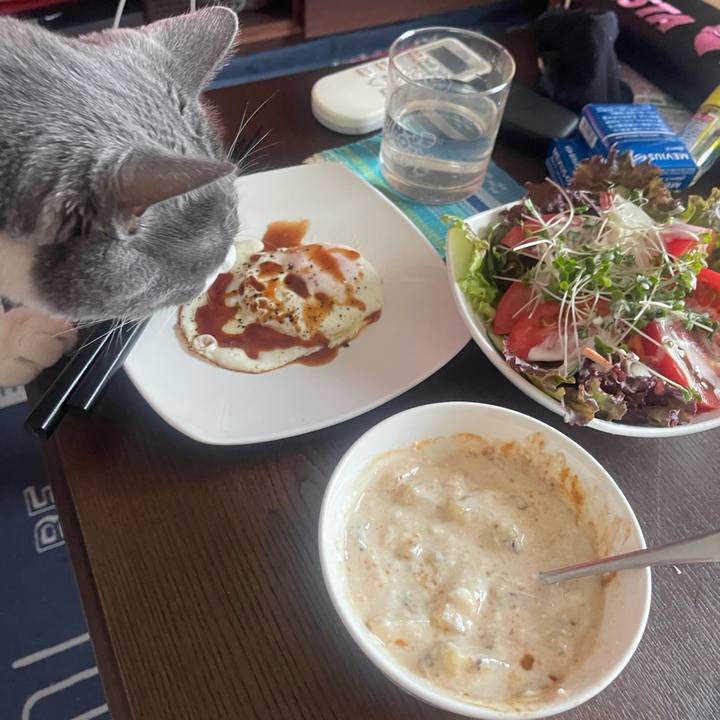 C695d688 740c 440e 8e5a f9c4b2aa6986 1720824826979