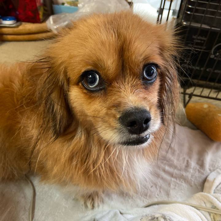 C695fc4d f0c2 4a21 a835 95a3a304ad7c 1574553536020