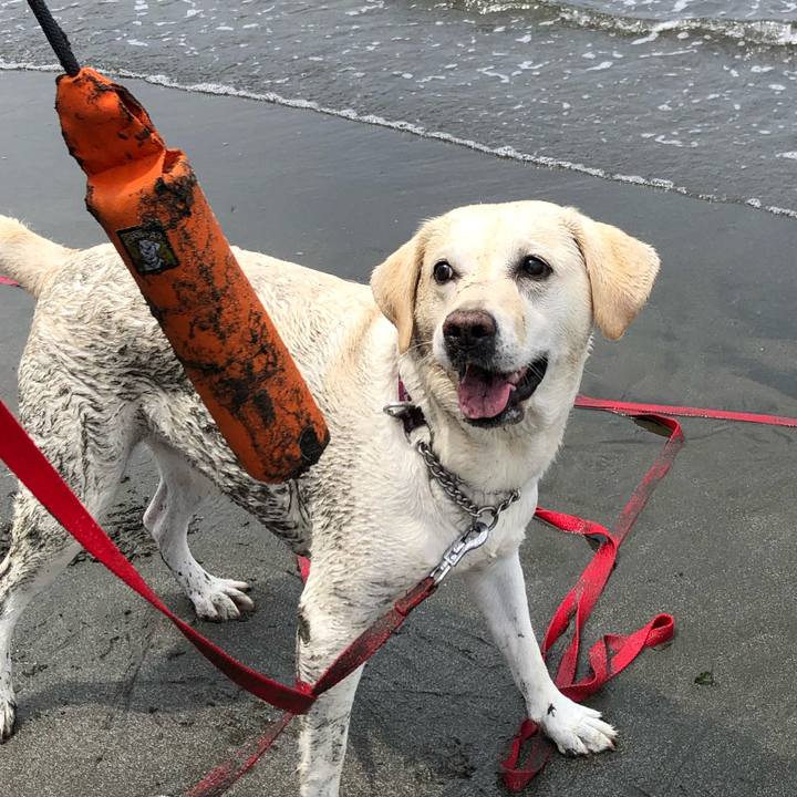 C6962a4f 1430 4a7f ab1e 4e8973de23fc 1624522018382