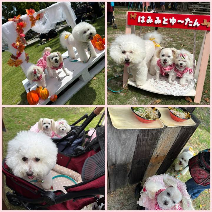 C696608d bebf 404f aab2 2a6a48e8d5d1 1758444898822