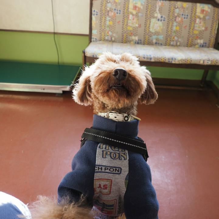 C696802c ad11 4d13 bf1d ca102fa859c1 1513601711460