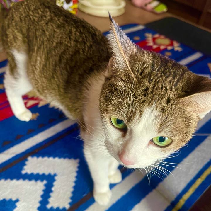 C696e322 79fa 48b7 88c7 6882fa180148 1638228626651