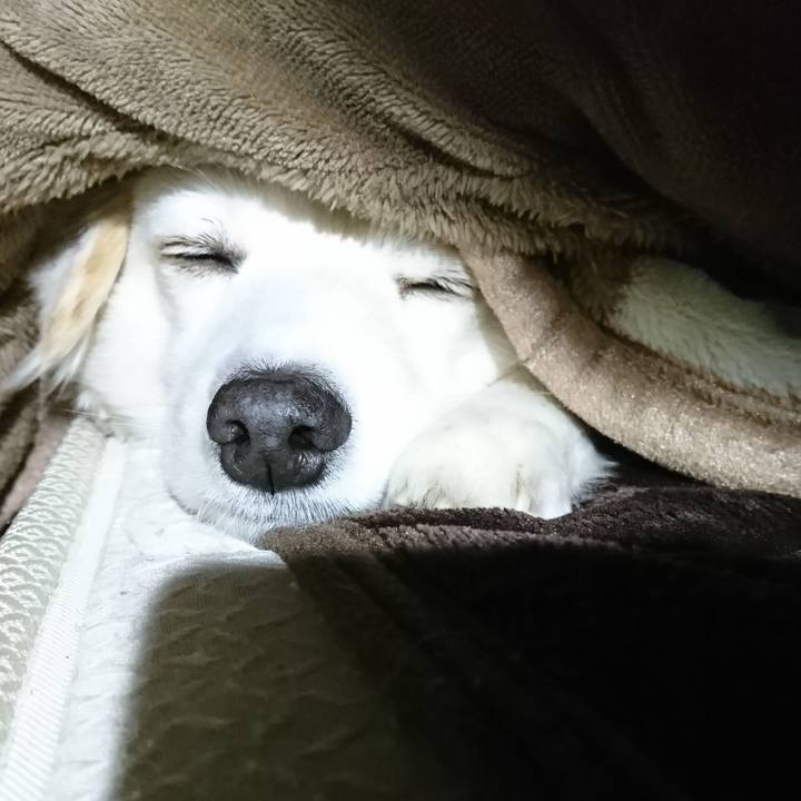 C6970f03 29b8 4ade af02 adcea254557d 1520024795142