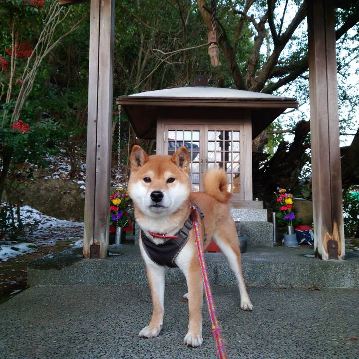 C6971cec 3405 47bf 8565 5780b3a70980 1770608637445