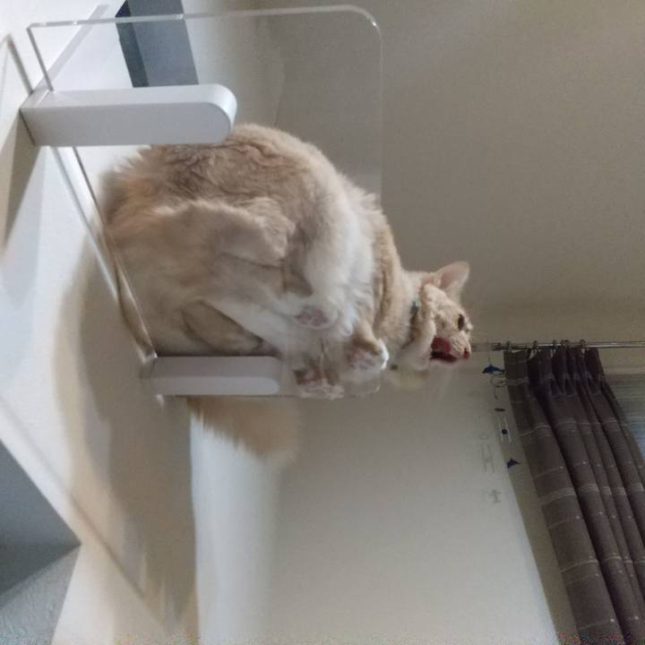 C6972b9a 91d6 403f 9163 0f9ac6ea4804 1638833996793