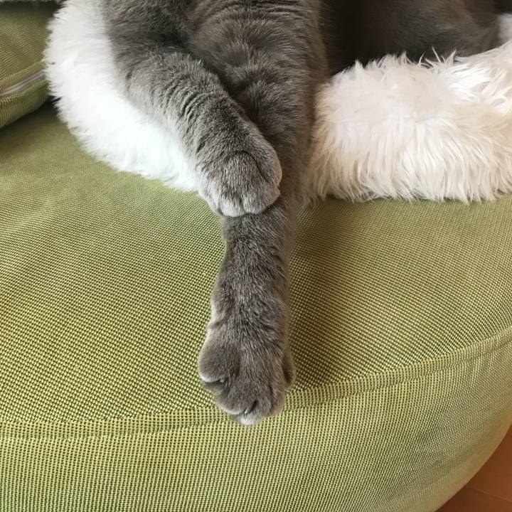 C6972d44 61aa 466c a4cd aaa0dfcf34cb 1578890080503