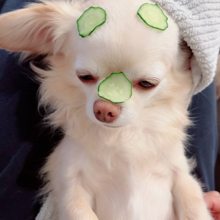 C6974e4f 5bfa 4835 9a8a 250bbbe62b91 1712906557144