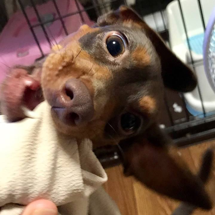 C69793c3 e22c 4984 b159 3d695e8c5438 1509804762765