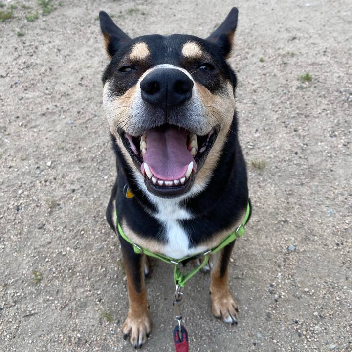 C697a43d befc 4292 a535 50a07bf6e063 1591313459008