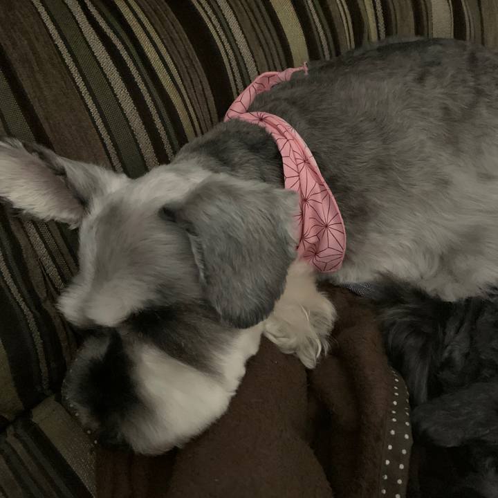 C697e038 9a3d 49df ba3b 5359dbbf42fe 1623303779249